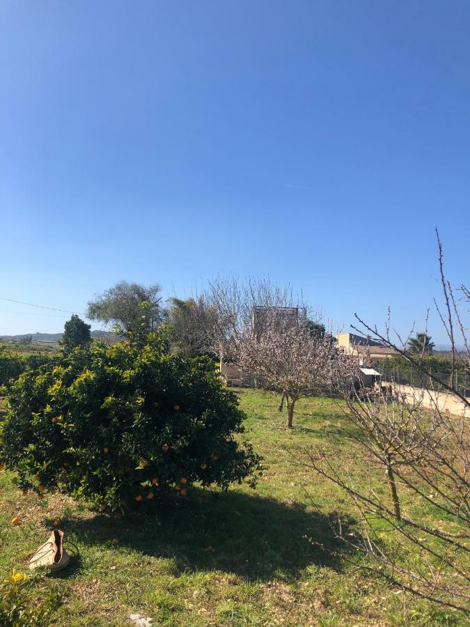 Son Roig ,Beautiful Place In The Heart Of Mallorca -Etv 9979 มาเรียเดอลาซาลุต ภายนอก รูปภาพ